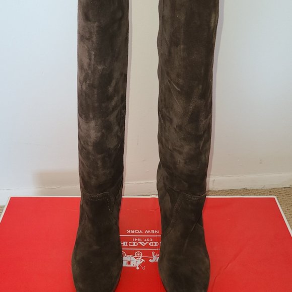 Coach Ambar Oiled Suede Boots (Chestnut) - Picture 1 of 5